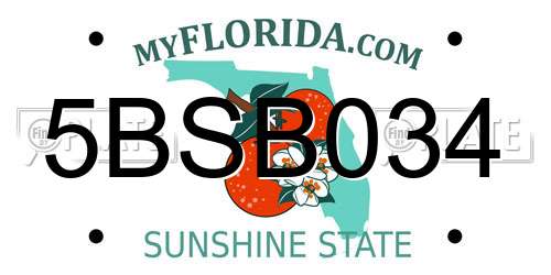 5BSB034 Florida License Plate