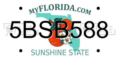 5BSB588 Florida License Plate