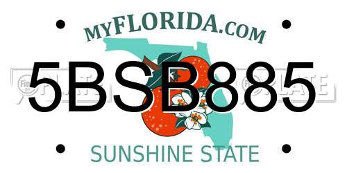 5BSB885 Florida License Plate