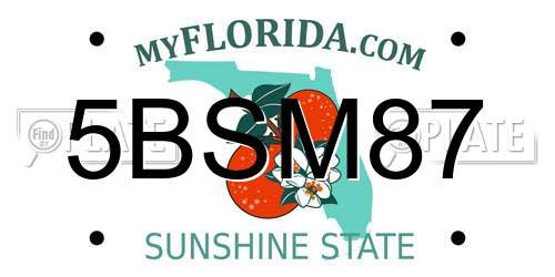5BSM87 Florida License Plate