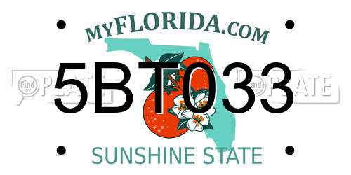 5BT033 Florida License Plate