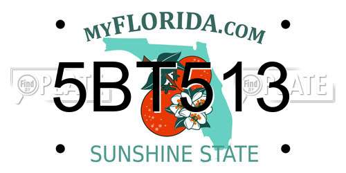 5BT513 Florida License Plate
