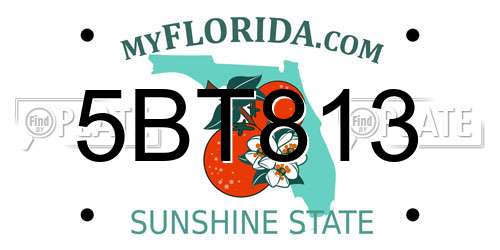 5BT813 Florida License Plate