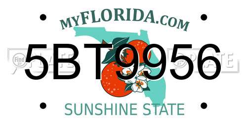 5BT9956 Florida License Plate
