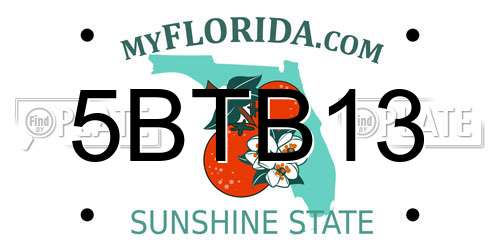 5BTB13 Florida License Plate