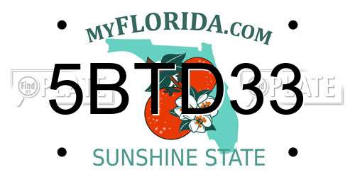 5BTD33 Florida License Plate
