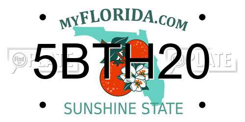 5BTH20 Florida License Plate