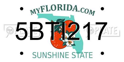 5BTI217 Florida License Plate
