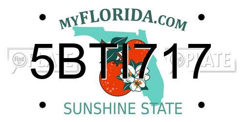 5BTI717 Florida License Plate