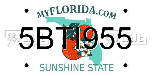 5BTI955 Florida License Plate