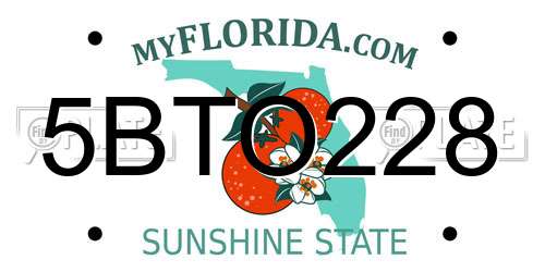 5BTO228 Florida License Plate