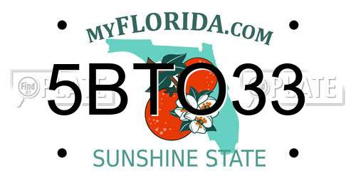 5BTO33 Florida License Plate