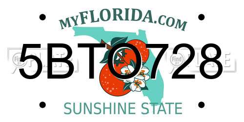 5BTO728 Florida License Plate