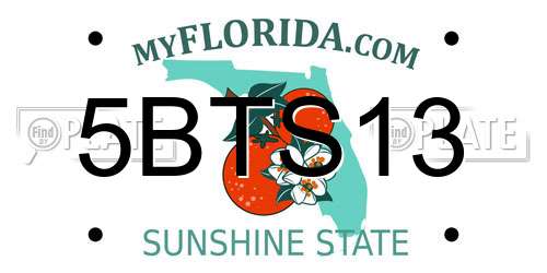 5BTS13 Florida License Plate