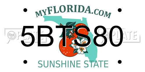 5BTS80 Florida License Plate