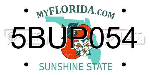 5BUP054 Florida License Plate