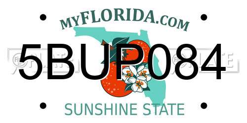 5BUP084 Florida License Plate