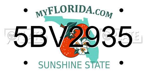 5BV2935 Florida License Plate