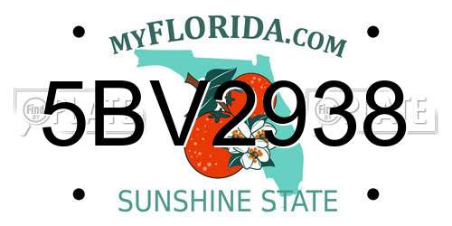 5BV2938 Florida License Plate