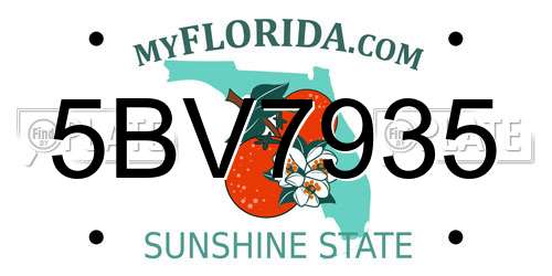 5BV7935 Florida License Plate