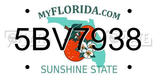5BV7938 Florida License Plate