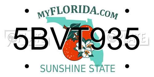 5BVT935 Florida License Plate
