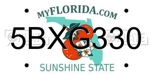 5BXG330 Florida License Plate