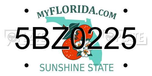 5BZ0225 Florida License Plate