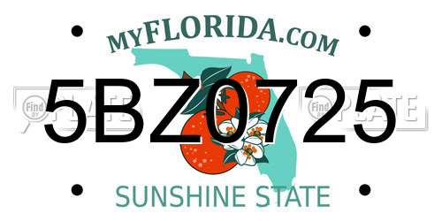 5BZ0725 Florida License Plate