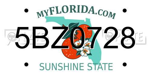5BZ0728 Florida License Plate