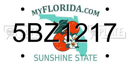 5BZ1217 Florida License Plate
