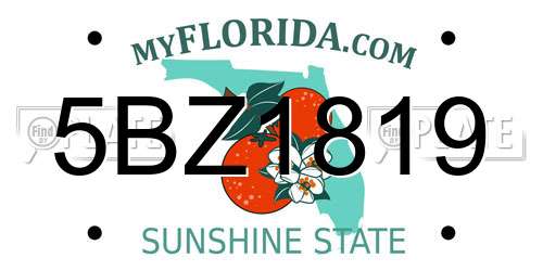 5BZ1819 Florida License Plate