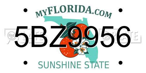 5BZ9956 Florida License Plate