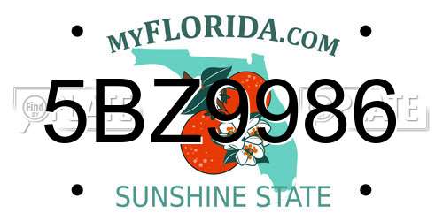 5BZ9986 Florida License Plate