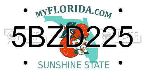 5BZD225 Florida License Plate