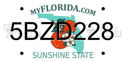 5BZD228 Florida License Plate