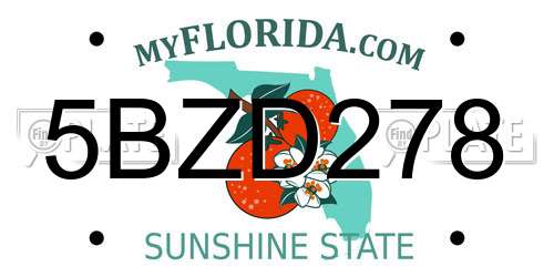 5BZD278 Florida License Plate