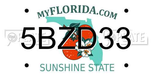 5BZD33 Florida License Plate