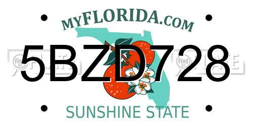 5BZD728 Florida License Plate