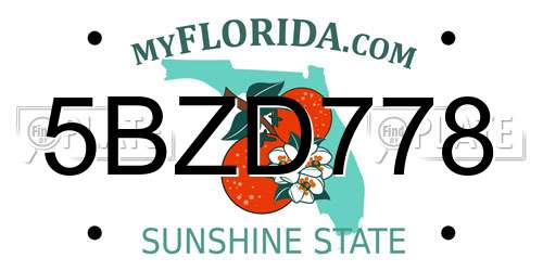 5BZD778 Florida License Plate