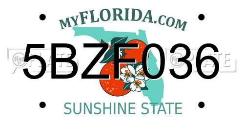 5BZF036 Florida License Plate
