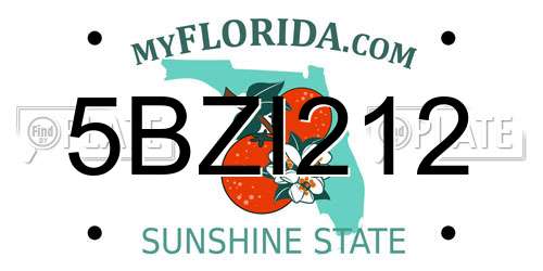 5BZI212 Florida License Plate