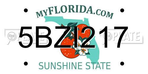 5BZI217 Florida License Plate