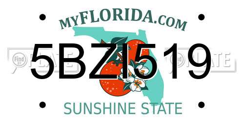 5BZI519 Florida License Plate