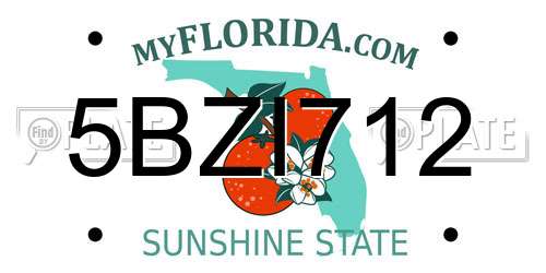 5BZI712 Florida License Plate
