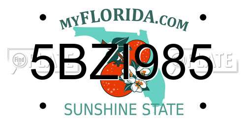 5BZI985 Florida License Plate