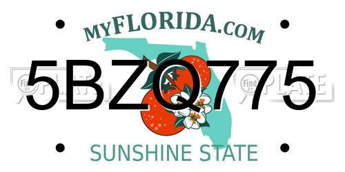 5BZQ775 Florida License Plate