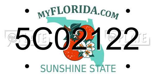 5C02122 Florida License Plate