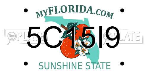 5C15I9 Florida License Plate