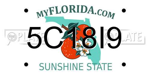 5C18I9 Florida License Plate